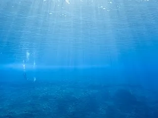 サイパンダイビング、良き海。