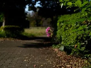 タイヤサイズを調べるのが面倒？