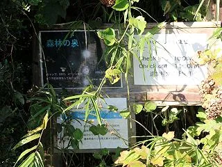 森林の泉キャンプ場