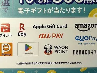 本日は珍しく配当金がありませんでした。