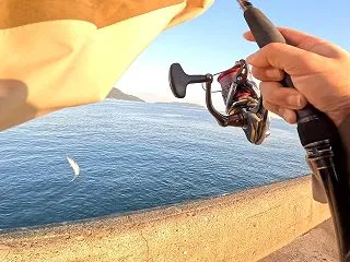 博多湾で太刀魚ダメでサゴシカッターマジ勘…