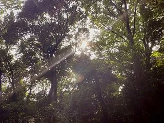 ただいま日本