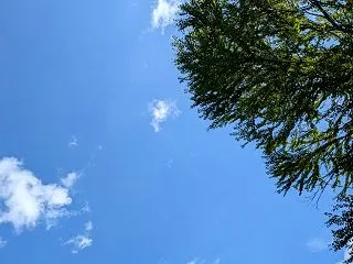 親子なのに伝わらない思い、必要なのは、〇…