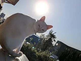 今日の予定