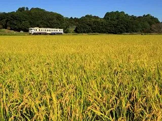 実りの秋