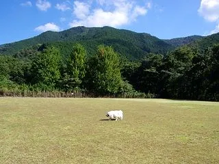 梅田湖で秋を感じるルビー