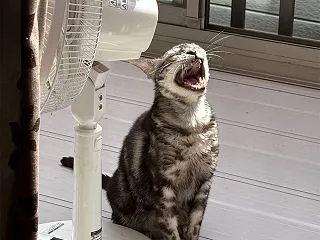 朝・・22℃ありました