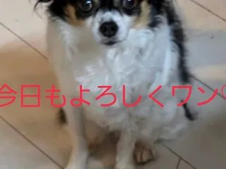 今回の診察は？(゜ロ゜;