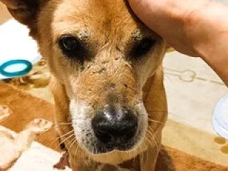 甘えん坊め！（´∀｀*）ｳﾌﾌ
