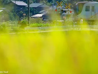 ゆめはこぶ （岐阜県 高山市）