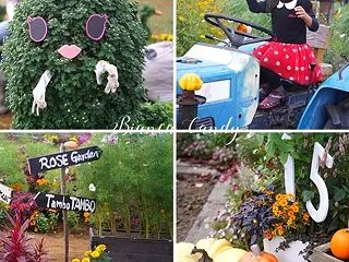 ハロウィン仕様な公園へお出掛け♪大きなカ…