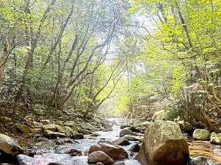 神戸 六甲山 沢登り！50歳過ぎた男の初…