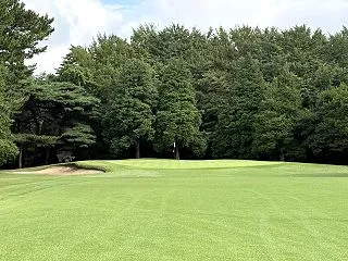 寄せワンが決まらないのにバーディパットは…