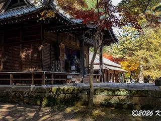 2025年11月24日、α7C IIとO…