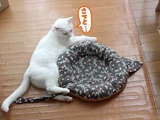 容易に想像がつきそうな伝説。