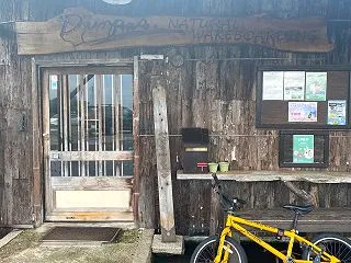  予想外の展開