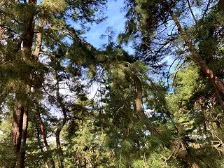 なぜ山？【中学生】家出④六感体質の悩みと…