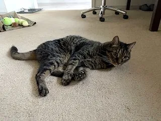 危うく