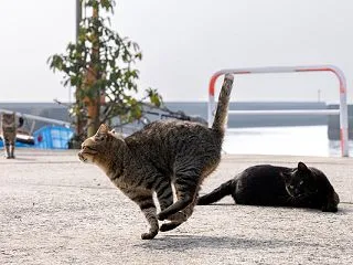 見守る。