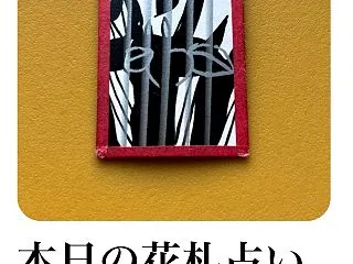 本日の花札占い