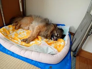 ただいま !