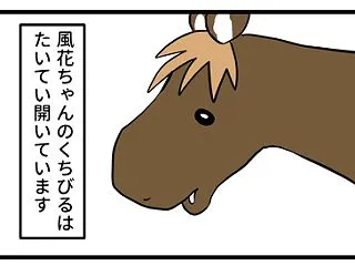 馬の部位で一番好きなところ