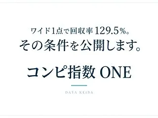 ワイド1点で回収率129.5％。その条件…