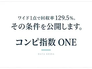 ワイド1点で回収率129.5％。その条件…