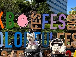 RKBカラフルフェス2026