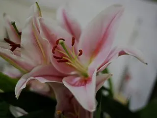 もう少し若い時に知りたかったこと