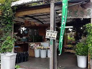 もち工房 よもぎ庵 よもぎ餅