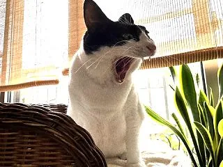 ☆整然とした部屋が望ましいwww