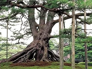 CPIの上振れで10月の米利上げ観測が高…