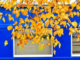 10月は引っ越しの季節｜「見知らぬ請求」…