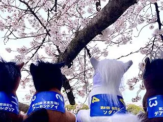 秋華賞