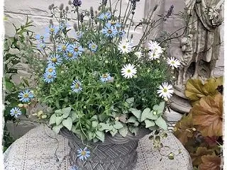 ご無沙汰です💦