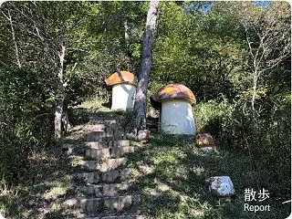 秋の裏山散歩3