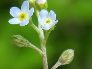小さな幸せは必ずだれにでもある