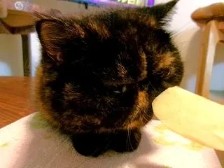 我が家のりんご娘‼