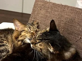瞬時に変化する気持ち