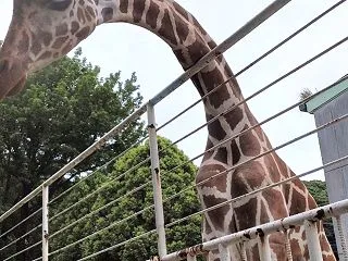 打ち明けることで、 心強い味方を得られた…