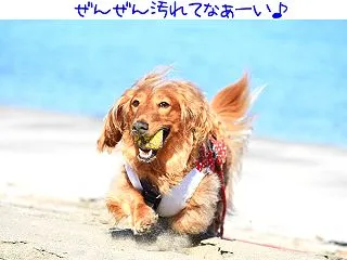 ちーたんは天才なのか？