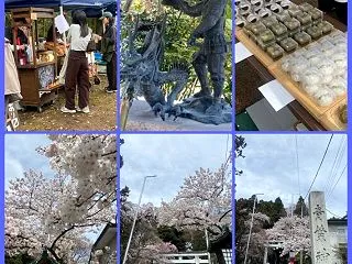 ★遡り★4月 花に見惚れていた日々