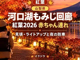 河口湖もみじ回廊の紅葉2026｜見頃・ラ…