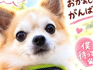 10月15日 最悪だった昨日