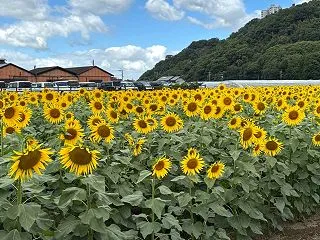 知らないと損？年金に加算されるお金を調べ…