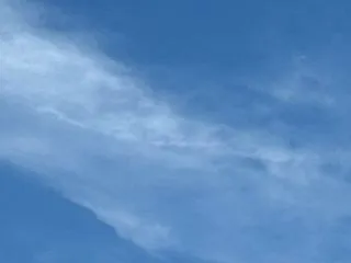 朝からの電話と学校の方針