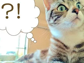《かみさま眼鏡》魂主体で望みを叶える方法