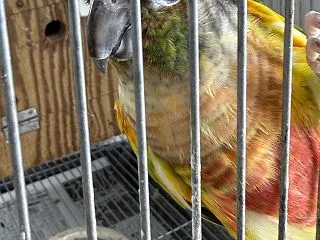 おそらく３度目の失敗