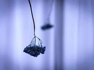 毎年できる口唇ヘルペス～免疫力の低下